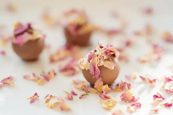 Casino Lotus Asia Aip Android/iOS